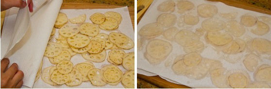 Renkon Chips 4