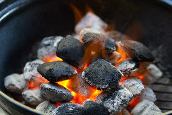 Grilled Sanma 5