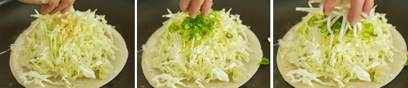 Hiroshimayaki 8