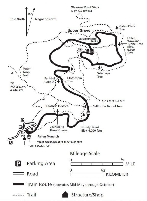 Mariposa Grove Trails | Just One Cookbook