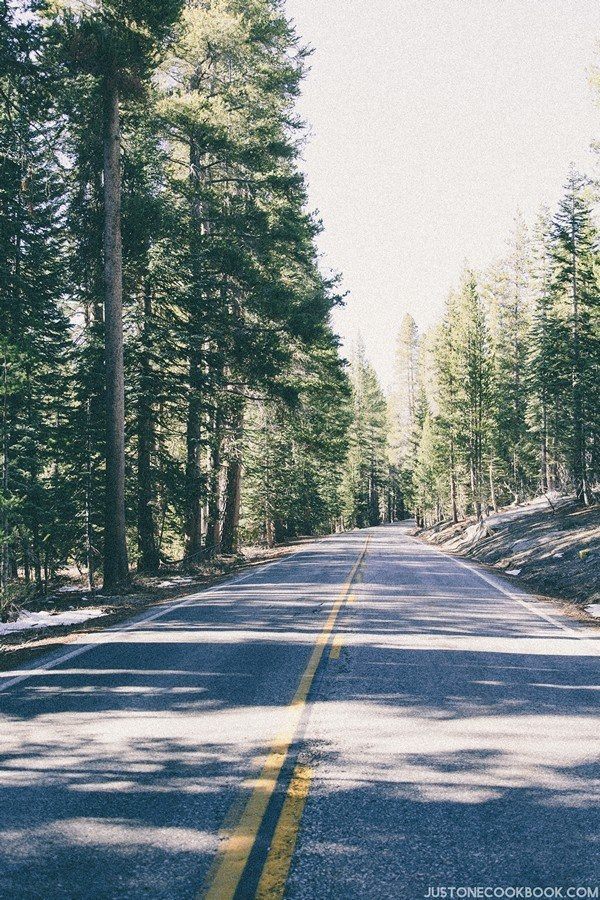 Visiting Yosemite | Just One Cookbook