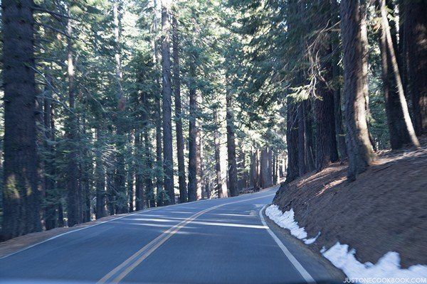 Visiting Yosemite | Just One Cookbook