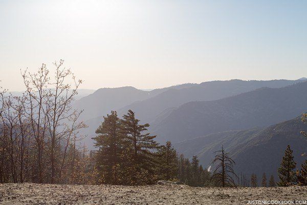 Visiting Yosemite | Just One Cookbook