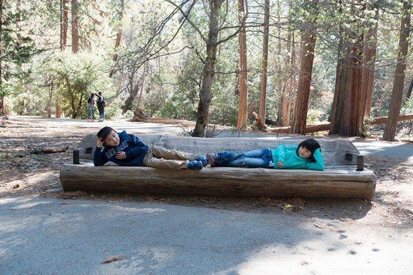 Visiting Yosemite | Just One Cookbook