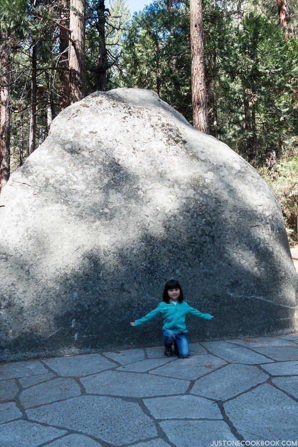 Visiting Yosemite | Just One Cookbook