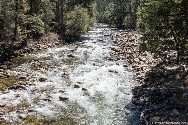 Visiting Yosemite | Just One Cookbook