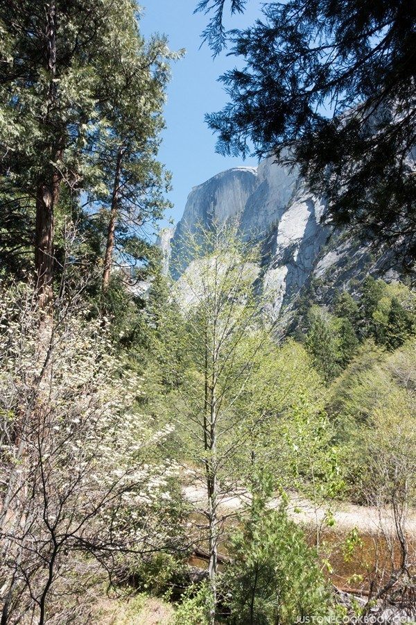 Visiting Yosemite | Just One Cookbook