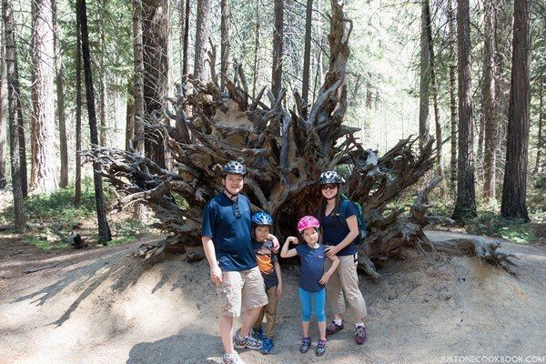 Visiting Yosemite | Just One Cookbook