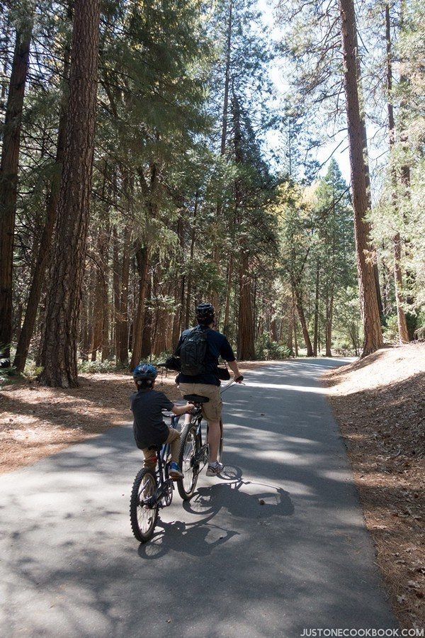 Visiting Yosemite | Just One Cookbook