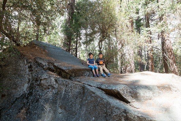Visiting Yosemite | Just One Cookbook