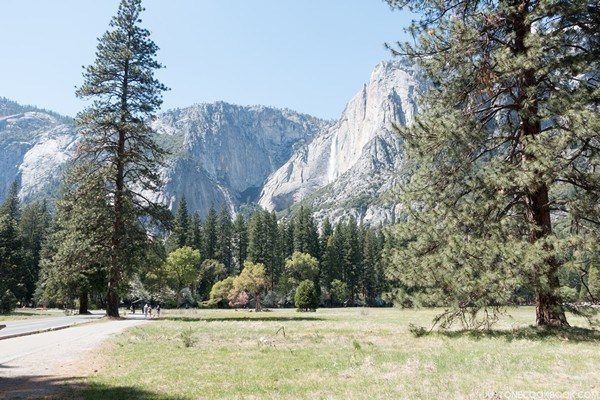 Visiting Yosemite | Just One Cookbook