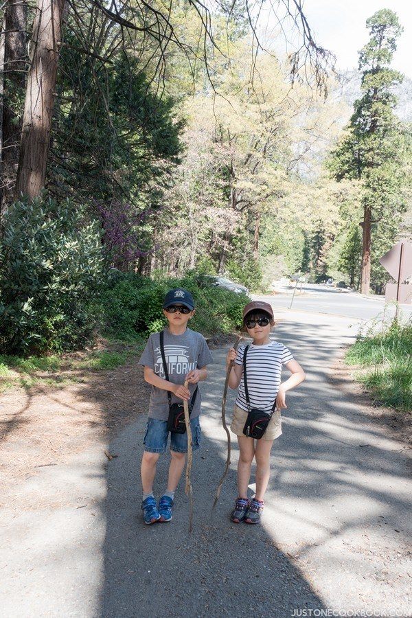 Visiting Yosemite | Just One Cookbook