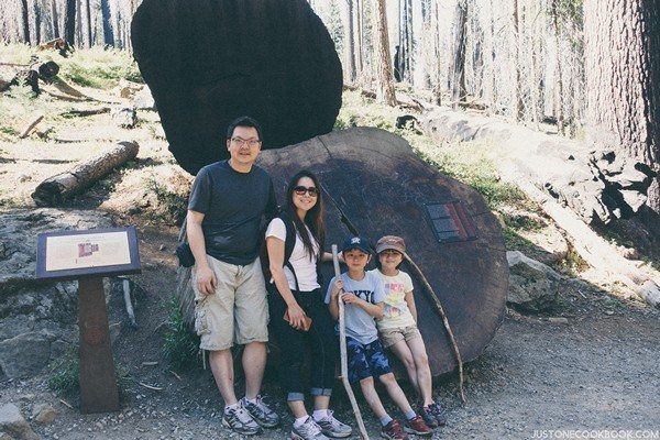 Mariposa Grove Yosemite | Just One Cookbook