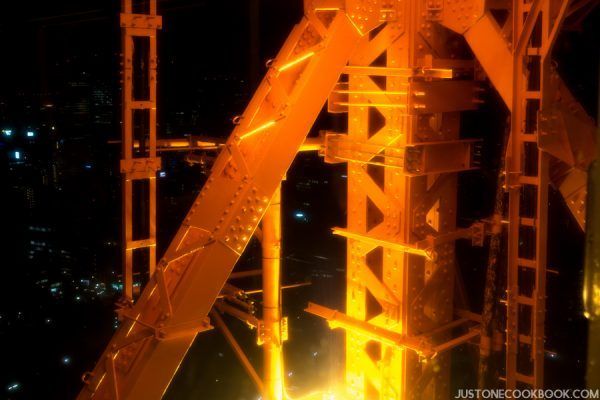 Tokyo Tower | Just One Cookbook