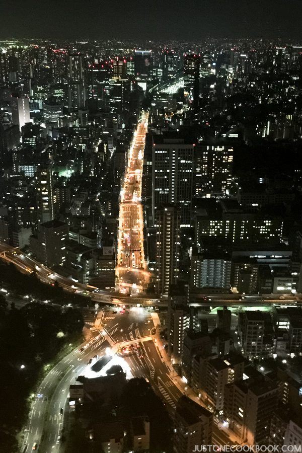Tokyo Tower | Just One Cookbook