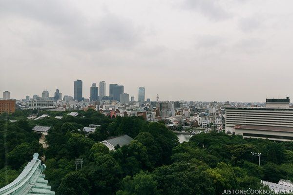 nagoya castle-9905