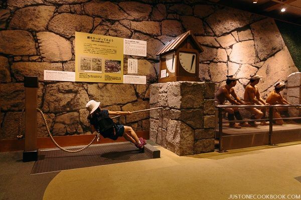nagoya castle-9919