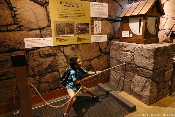 nagoya castle-9923