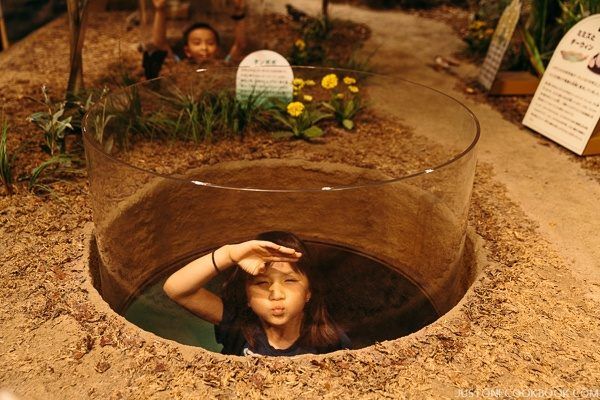 nagoya city science museum-0053
