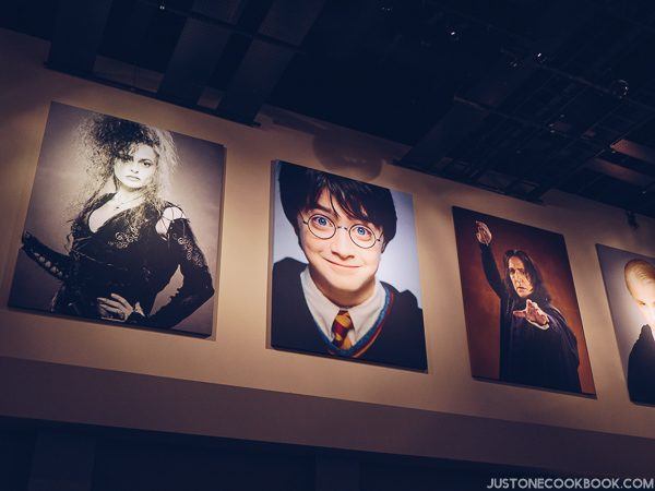 London Travel Guide Day 4 - Warner Bros. Studio: The Making of Harry Potter | JustOneCookbook.com
