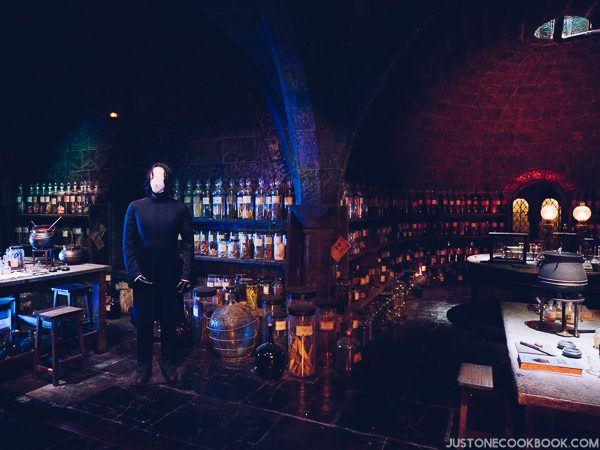 London Travel Guide Day 4 - Warner Bros. Studio: The Making of Harry Potter | JustOneCookbook.com
