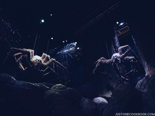 London Travel Guide Day 4 - Warner Bros. Studio: The Making of Harry Potter | JustOneCookbook.com