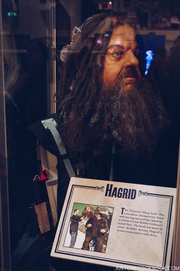 London Travel Guide Day 4 - Warner Bros. Studio: The Making of Harry Potter | JustOneCookbook.com
