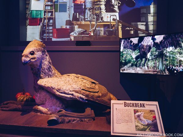 London Travel Guide Day 4 - Warner Bros. Studio: The Making of Harry Potter | JustOneCookbook.com