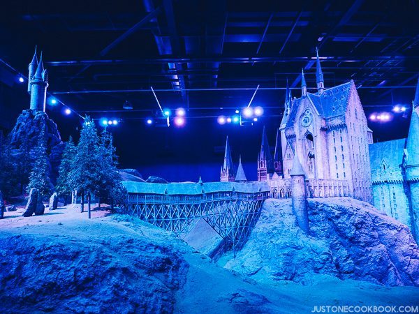 London Travel Guide Day 4 - Warner Bros. Studio: The Making of Harry Potter | JustOneCookbook.com