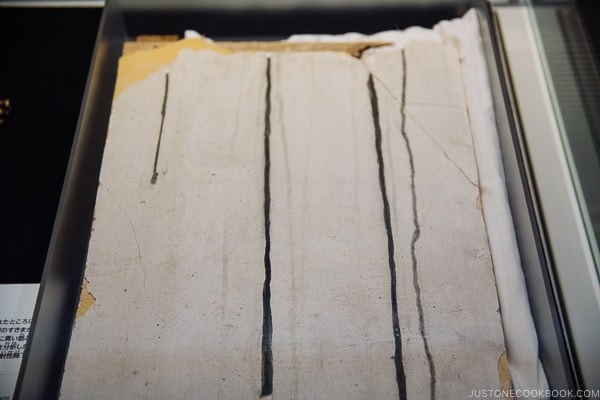 black rain streaks down a white wall on display | JustOneCookbook.com