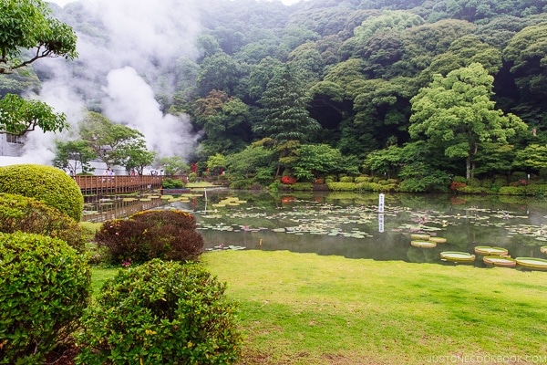 Umi-Jigoku Beppu travel guide | justonecookbook.com
