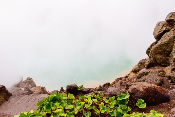 Umi-Jigoku Beppu travel guide | justonecookbook.com