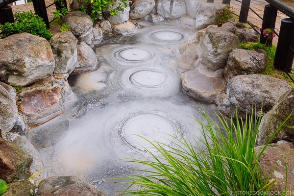 Oniishibozu-Jigoku Beppu travel guide | justonecookbook.com