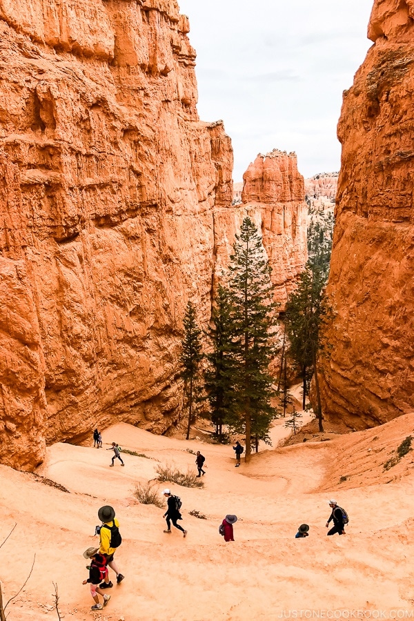 switchbacks on Navajo Loop - Bryce Canyon National Park Travel Guide | justonecookbook.com
