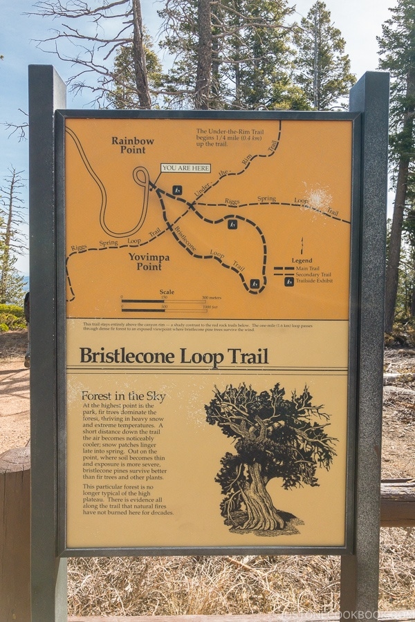 Bristlecone Loop Train Map sign - Bryce Canyon National Park Travel Guide | justonecookbook.com