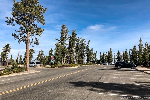 Rainbow point parking lot - Bryce Canyon National Park Travel Guide | justonecookbook.com