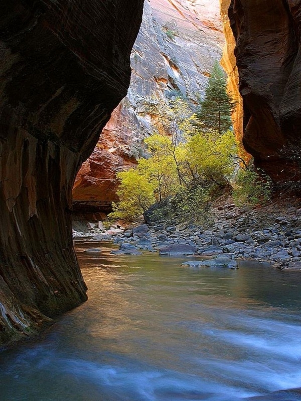 Zion National Park The Narrows - By Jon Sullivan [Public domain], via Wikimedia Commons