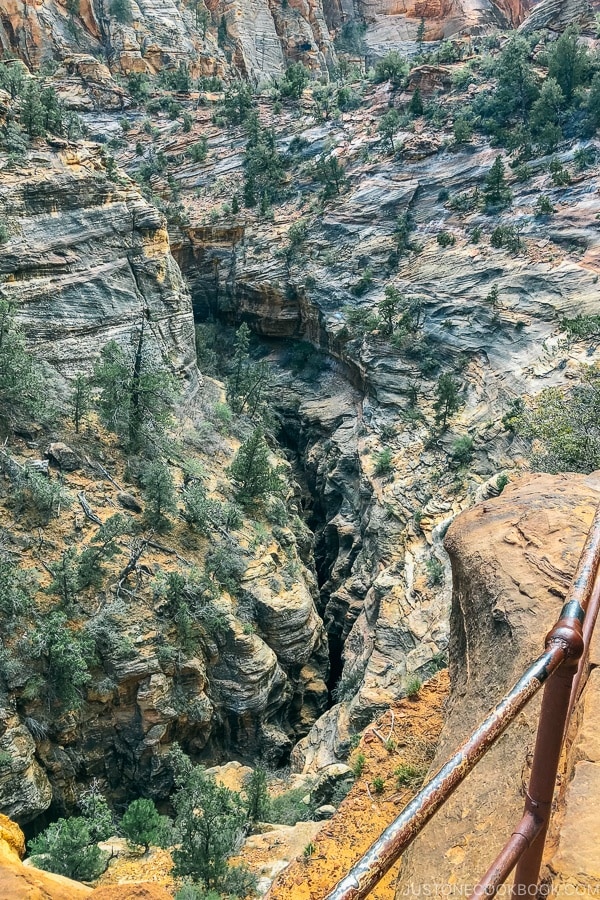 view of canyon from Canyon Overlook Trail - Zion National Park Travel Guide | justonecookbook.com