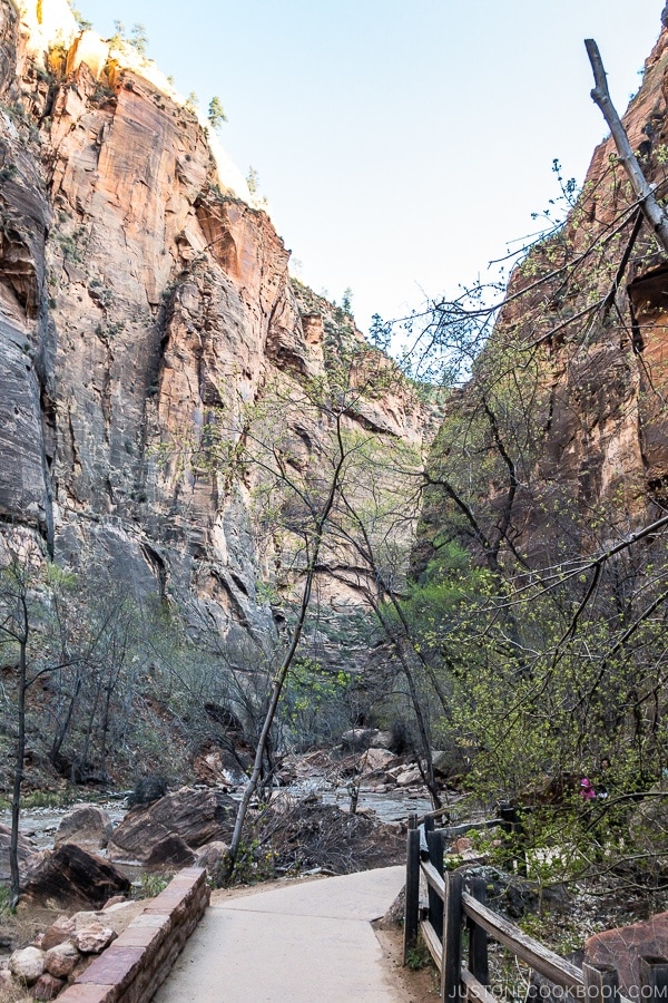 Riverside walk paved trail - Zion National Park Travel Guide | justonecookbook.com