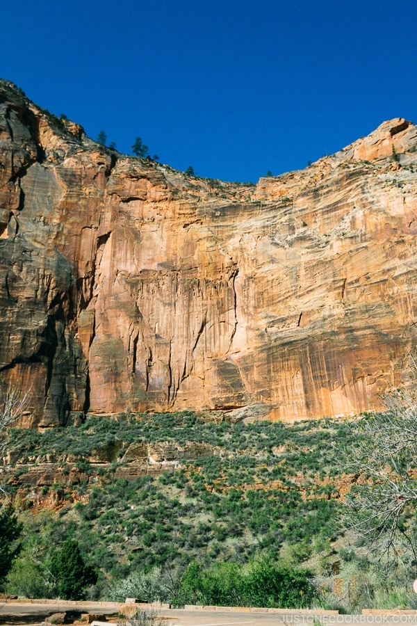 view of Angels Landing Trail from Big Bend - Zion National Park Travel Guide | justonecookbook.com