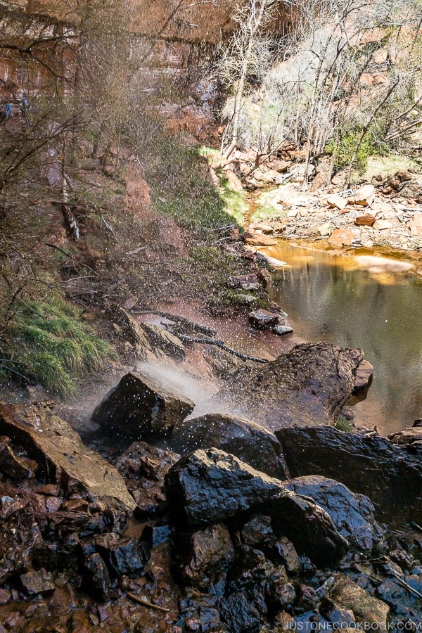 Waterfall near Lower Emerald Pool - Zion National Park Travel Guide | justonecookbook.com