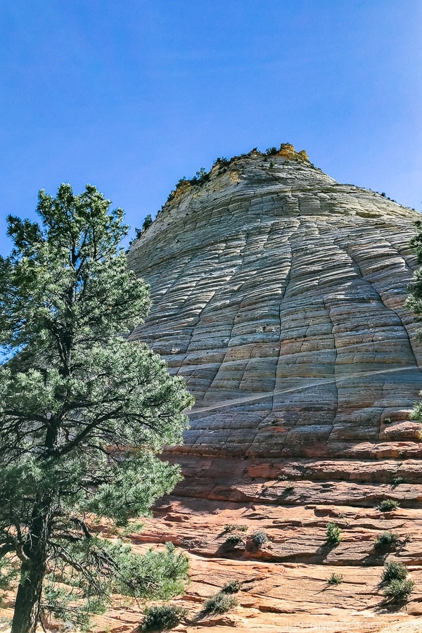 view of Checkboard Mesa - Zion National Park Travel Guide | justonecookbook.com