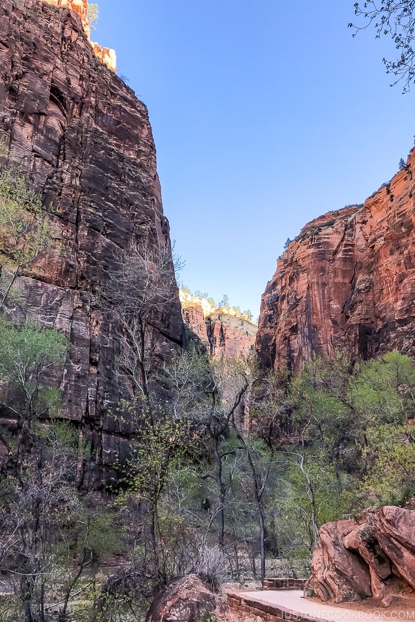 scenery from Riverside Walk - Zion National Park Travel Guide | justonecookbook.com