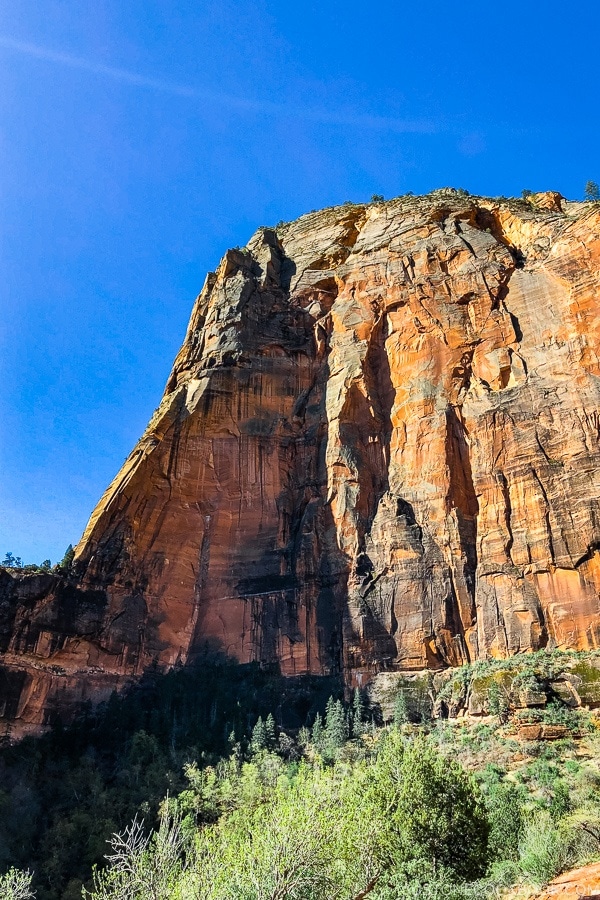 view of the scenery from Big Bend - Zion National Park Travel Guide | justonecookbook.com