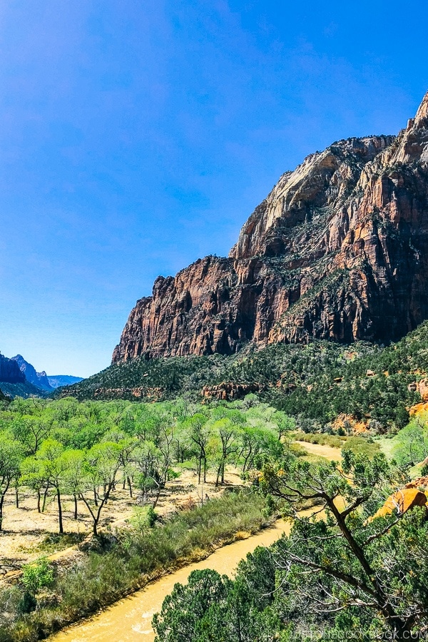 view of Zion Canyon from Kayenta Trail - Zion National Park Travel Guide | justonecookbook.com