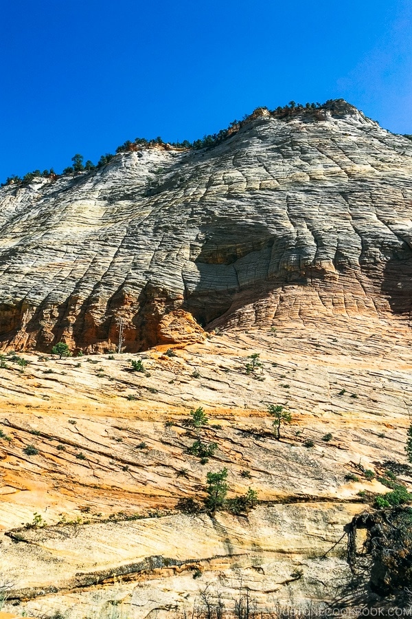view of Sandstone hills - Zion National Park Travel Guide | justonecookbook.com