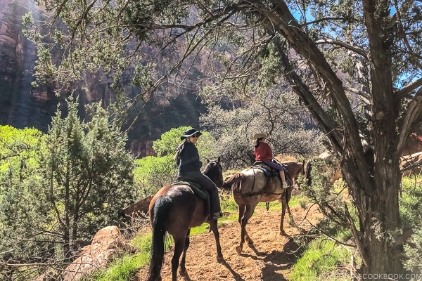 Just One Cookbook family on horse ride - Zion National Park Travel Guide | justonecookbook.com