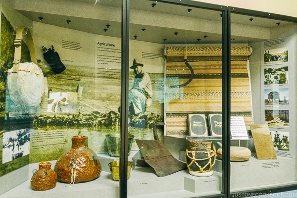 exhibit on display inside visitor center - Zion National Park Travel Guide | justonecookbook.com