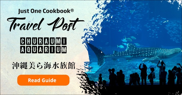 Churaumi Aquarium Guide | justonecookbook.com
