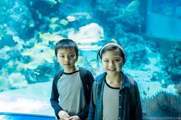 children in front of fish tank at Churaumi aquarium at Ocean Expo Park Okinawa | justonecookbook.com